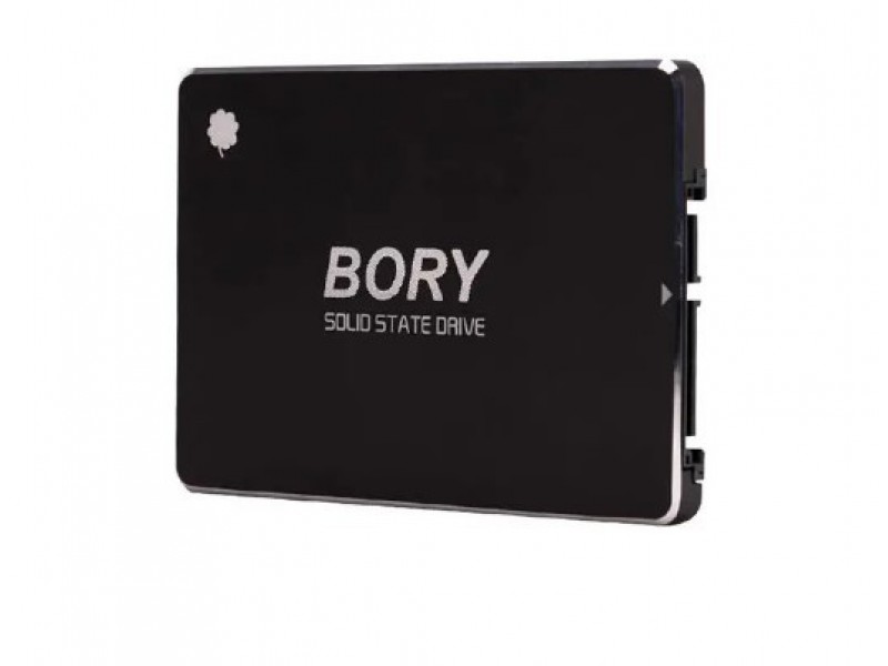 1 TB BORY SATA3 R500-C1T SSD 550/510 MBS (3 YIL GARANTİLİ)